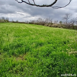 vand 2 terenuri intravilan - imagine 5 vand 2 terenuri intravilan - imagine 5