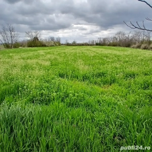 vand 2 terenuri intravilan - imagine 4 vand 2 terenuri intravilan - imagine 4