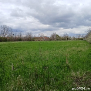 vand 2 terenuri intravilan