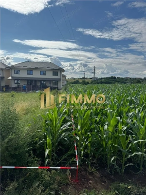 Teren Iravilan | Lisaura | 600 mp | ID: 1384 - imagine 2