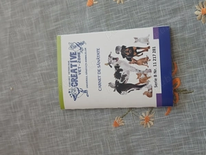 Vând pui tekel - imagine 2 Vând pui tekel - imagine 2