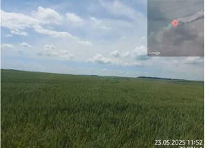 Teren extravilan 5000 mp Loc Plesoiu, Jud Olt