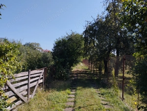 Breaza, teren 1705 mp sau lotizat, zona insorita - imagine 3