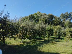 Breaza, teren 1705 mp sau lotizat, zona insorita - imagine 2