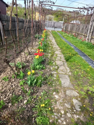 vand casa in Bascov, Arges