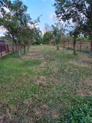 vand casa in Bascov, Arges - imagine 4