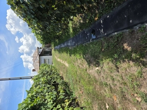 vand casa in Bascov, Arges - imagine 2