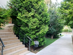 Apartament de vanzare - 2 camere - 83 mp - NorthPoint Corbeanca - imagine 9