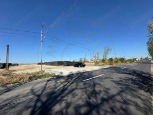 Teren extravilan de vânzare – Căteasca, Argeș | 27.201 mp | Deschidere 58,55 m - imagine 9