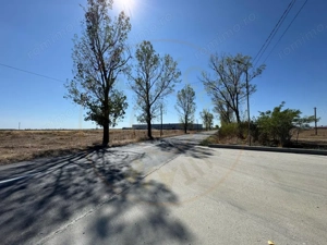 Teren extravilan de vânzare – Căteasca, Argeș | 27.201 mp | Deschidere 58,55 m - imagine 7