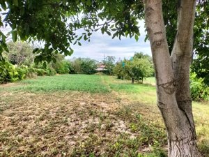 Teren intravilan, loc de casă