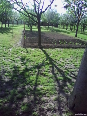 Casa la schimb - imagine 3