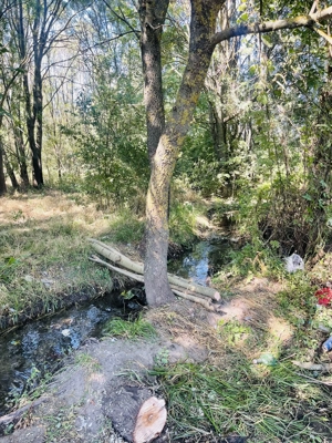 Teren intravilan în comuna Mârzănești,județ Teleorman cu heleșteu și pădure, - imagine 3