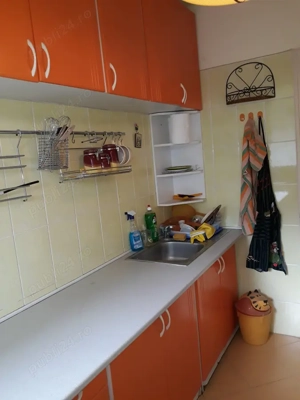 Lacul Tei,Parcul Circului,Lidl, adiacent etj.2 sdec 56mp vederepe Parc bl reab termic mob ut liber - imagine 10