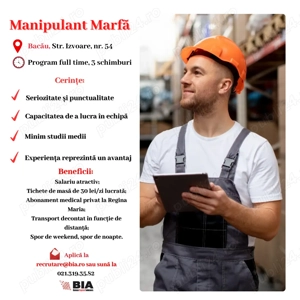Manipulant marfa - depozit Bacau