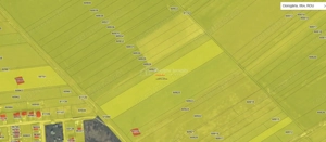 teren intravilan Ciorogarla, jud. Ilfov