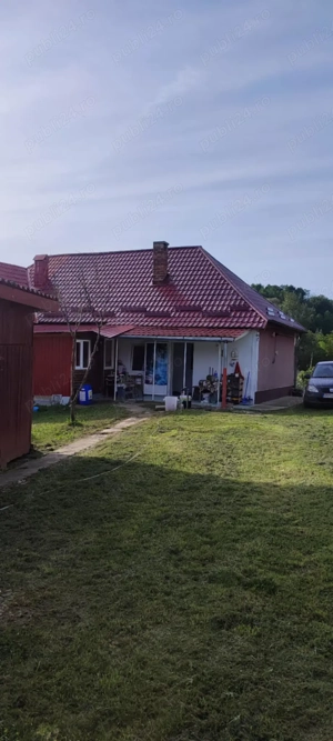 Vanzare casa Morut, judetul Bistrita-Nasaud - imagine 5