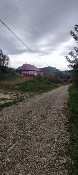 Vanzare casa Morut, judetul Bistrita-Nasaud