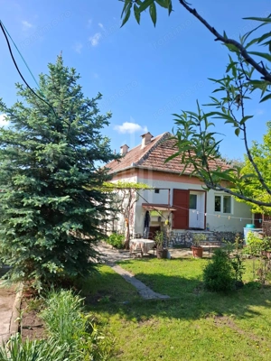 Casă cu două corpuri de clădire și teren generos – sat Boarta, județul Sibiu - imagine 13