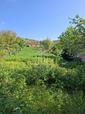 Casă cu două corpuri de clădire și teren generos – sat Boarta, județul Sibiu - imagine 15