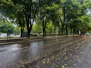 Vânzare Casă cu aplasare Strategică - Copou - Parcul Expoziției - imagine 17