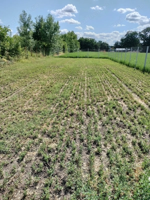 Teren intravilan Ghighiu