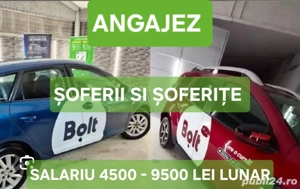 Angajez SofeR și ȘOFERIȚE BrasoV .