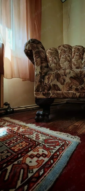 Casă cu 5 camere, singur în curte, acces auto , lângă Magazinul Crișul , Oradea. - imagine 2