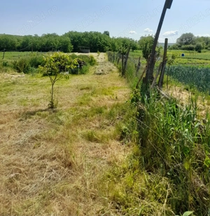 Persoana Fizica vand Teren Cluj - Borsa Catun - Intravilan 2300 mp - Extras CF - Cabana - Foisor - imagine 6