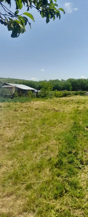 Persoana Fizica vand Teren Cluj - Borsa Catun - Intravilan 2300 mp - Extras CF - Cabana - Foisor - imagine 5