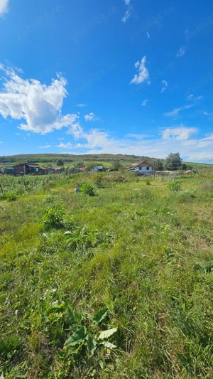 Persoana Fizica vand Teren Cluj - Borsa Catun - Intravilan 2300 mp - Extras CF - Cabana - Foisor - imagine 7