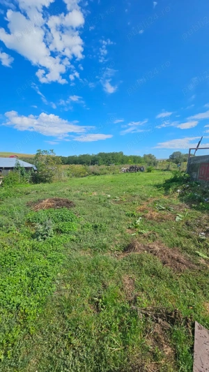 Persoana Fizica vand Teren Cluj - Borsa Catun - Intravilan 2300 mp - Extras CF - Cabana - Foisor - imagine 2