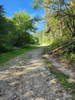 De vânzare teren extravilan