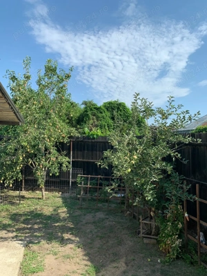 Casa de vanzare in Barlad