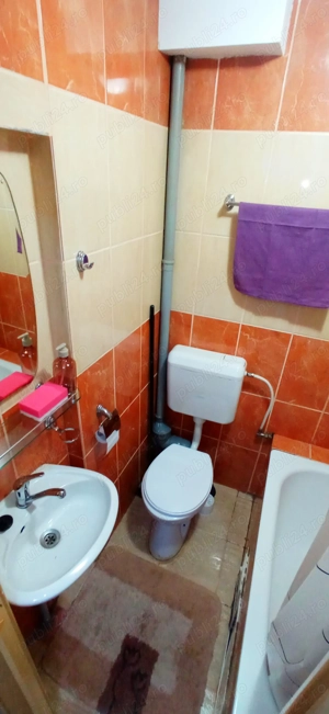 Proprietar inchiriez garsoniera Cetatii Bucovina - imagine 9