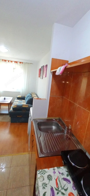 Proprietar inchiriez garsoniera Cetatii Bucovina - imagine 7