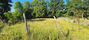 Vand teren EXTRAViLAN 4715 m (Tarla 27, Parcela F 206) in comuna BERTEA - imagine 3