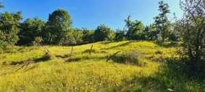 Vand teren EXTRAViLAN 4715 m (Tarla 27, Parcela F 206) in comuna BERTEA - imagine 4