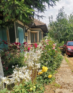 Vânzare casă demolabilă Teren 1500 mp Coșereni IL