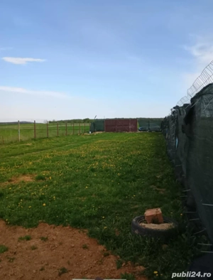 Teren imprejmuit - imagine 4