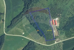 Teren 70,808mp ( sat Cuied - comuna Buteni )