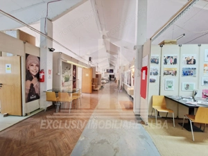 Spatiu industrial de inchiriat in Sebes