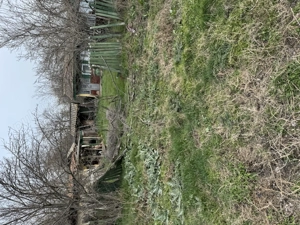 Vand Teren Intravilan - imagine 4