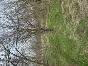 Vand Teren Intravilan - imagine 10