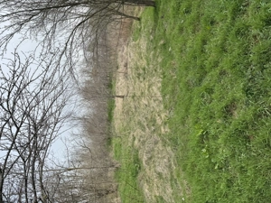 Vand Teren Intravilan - imagine 8