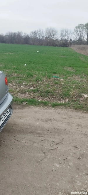 Magurele Ilfov - imagine 3