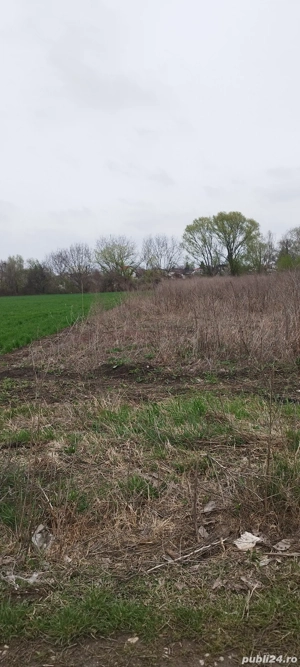 Magurele Ilfov - imagine 2