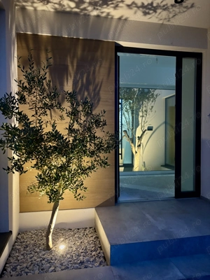 Proprietar!!!Duplex intabulat,cu 4 camere pe parter in Dumbravita,435 mp teren - imagine 5