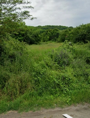 Teren intravilan   extravilan în Drăgășani , str Regele Ferdinand