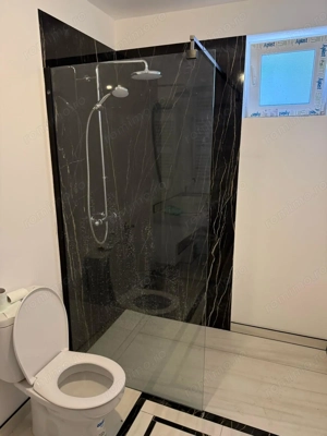 Zona Aradului. Curte. Renovat - imagine 10